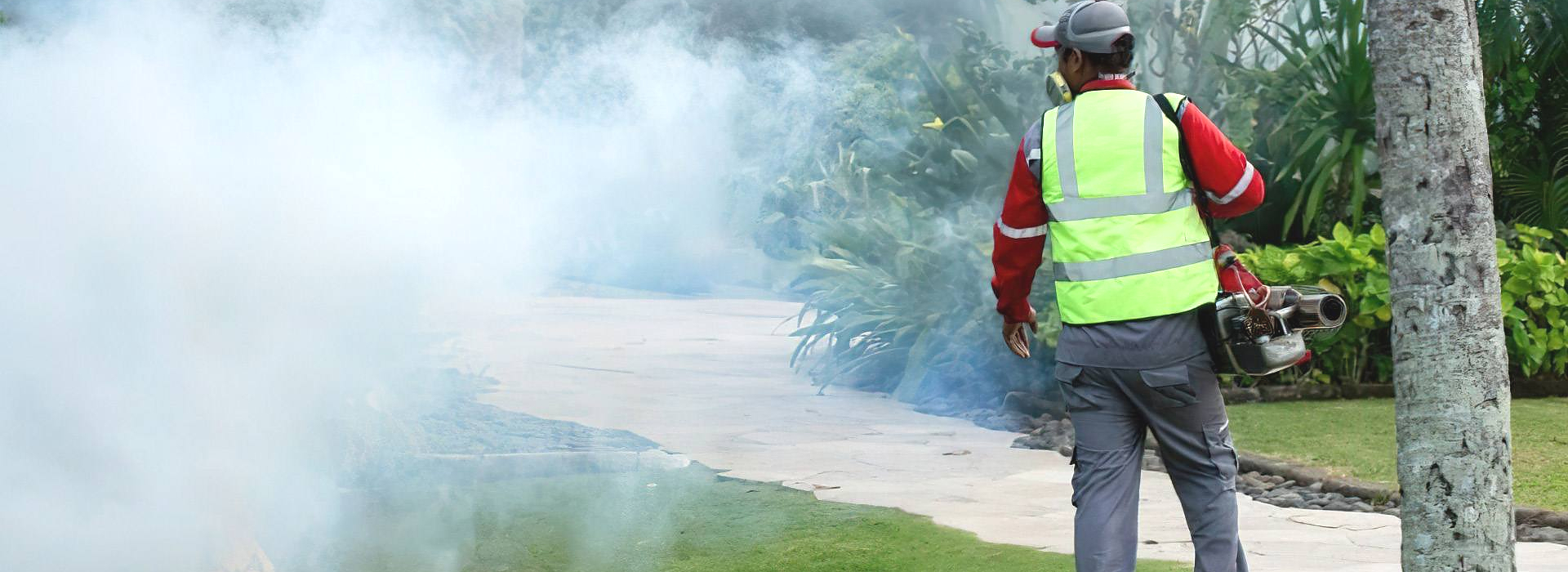 Fummigation Services